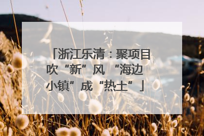 浙江乐清：聚项目吹“新”风 “海边小镇”成“热土”