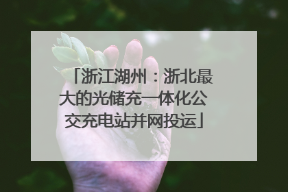 浙江湖州：浙北最大的光储充一体化公交充电站并网投运