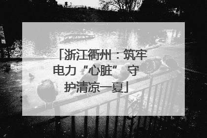浙江衢州：筑牢电力“心脏” 守护清凉一夏