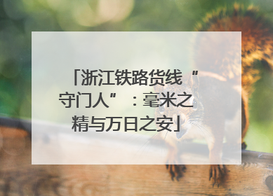 浙江铁路货线“守门人”：毫米之精与万日之安