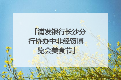 浦发银行长沙分行协办中非经贸博览会美食节