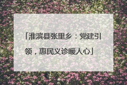 淮滨县张里乡：党建引领，惠民义诊暖人心