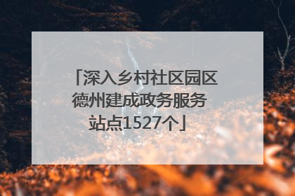 深入乡村社区园区 德州建成政务服务站点1527个