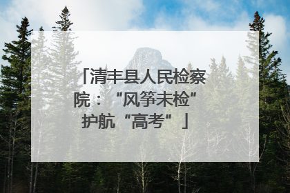 清丰县人民检察院：“风筝未检”护航“高考”