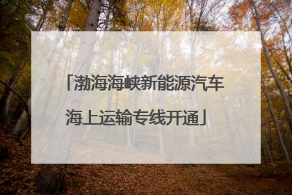 渤海海峡新能源汽车海上运输专线开通