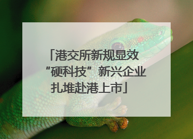 港交所新规显效 “硬科技”新兴企业扎堆赴港上市