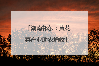 湖南祁东：黄花菜产业助农增收
