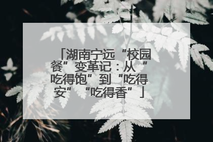 湖南宁远“校园餐”变革记：从“吃得饱”到“吃得安”“吃得香”