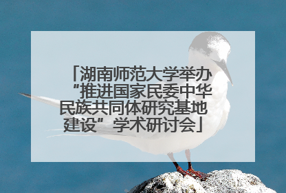 湖南师范大学举办“推进国家民委中华民族共同体研究基地建设”学术研讨会