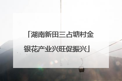 湖南新田三占塘村金银花产业兴旺促振兴