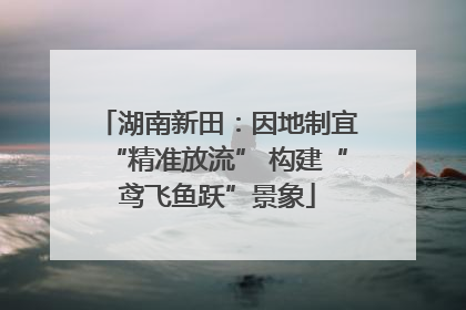 湖南新田：因地制宜“精准放流” 构建“鸢飞鱼跃”景象