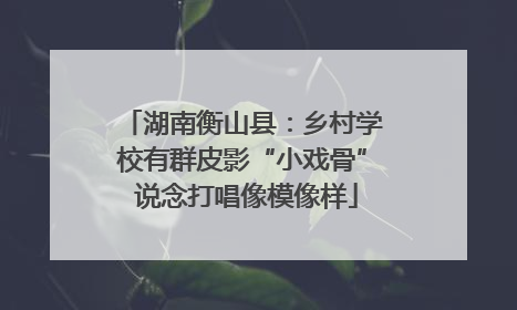 湖南衡山县：乡村学校有群皮影“小戏骨” 说念打唱像模像样