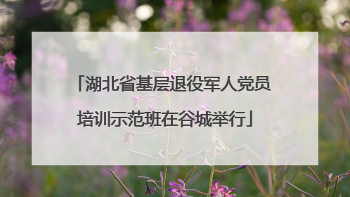 湖北省基层退役军人党员培训示范班在谷城举行