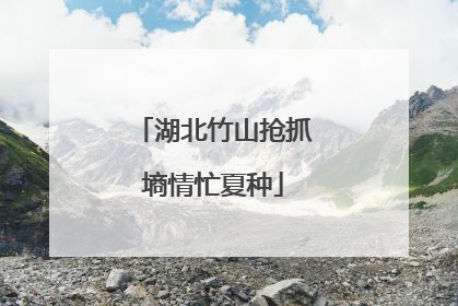 湖北竹山抢抓墒情忙夏种