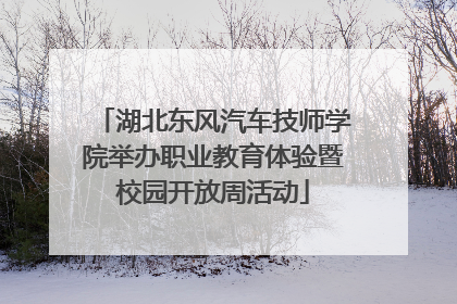 湖北东风汽车技师学院举办职业教育体验暨校园开放周活动
