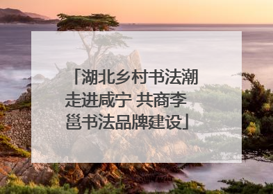 湖北乡村书法潮走进咸宁 共商李邕书法品牌建设