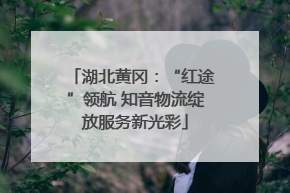 湖北黄冈：“红途”领航 知音物流绽放服务新光彩