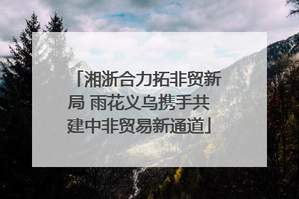 湘浙合力拓非贸新局 雨花义乌携手共建中非贸易新通道
