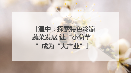 湟中：探索特色冷凉蔬菜发展 让“小菊芋”成为“大产业”