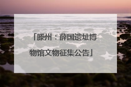 滕州：薛国遗址博物馆文物征集公告