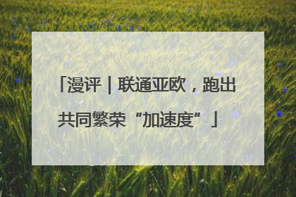 漫评｜联通亚欧，跑出共同繁荣“加速度”
