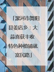 漯河市舞阳县姜店乡：大蒜喜获丰收 特色种植铺就富民路