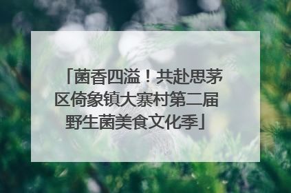菌香四溢！共赴思茅区倚象镇大寨村第二届野生菌美食文化季