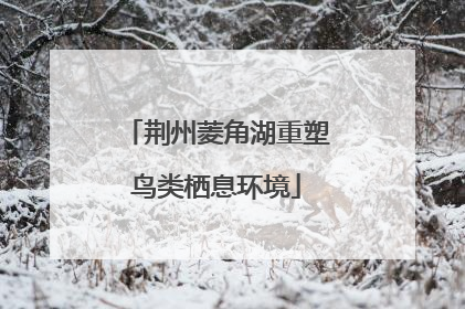 荆州菱角湖重塑鸟类栖息环境