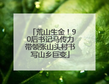 荒山生金！90后书记马传力带领张山头村书写山乡巨变