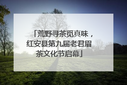 荒野寻茶觅真味，红安县第九届老君眉茶文化节启幕