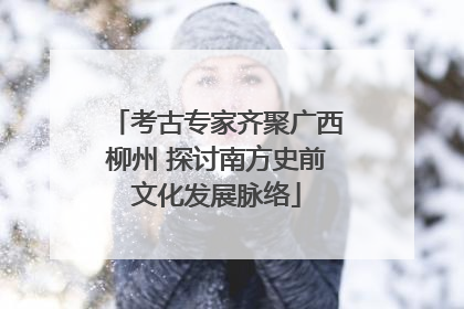 考古专家齐聚广西柳州 探讨南方史前文化发展脉络
