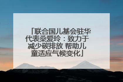 联合国儿基会驻华代表桑爱玲：致力于减少碳排放 帮助儿童适应气候变化