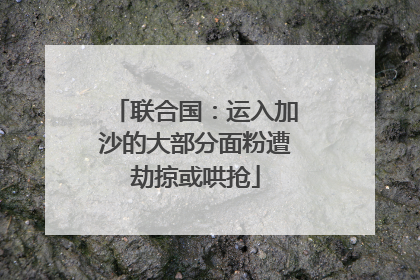 联合国：运入加沙的大部分面粉遭劫掠或哄抢