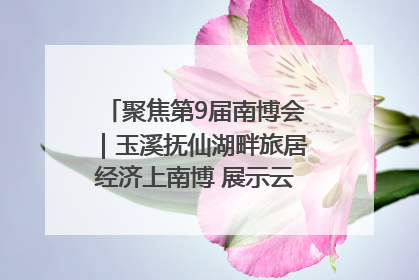 聚焦第9届南博会｜玉溪抚仙湖畔旅居经济上南博 展示云南生活新样本