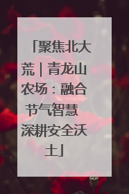 聚焦北大荒｜青龙山农场：融合节气智慧 深耕安全沃土