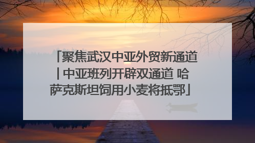 聚焦武汉中亚外贸新通道│中亚班列开辟双通道 哈萨克斯坦饲用小麦将抵鄂