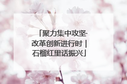 聚力集中攻坚·改革创新进行时｜石榴红里话振兴