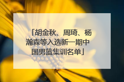 胡金秋、周琦、杨瀚森等入选新一期中国男篮集训名单