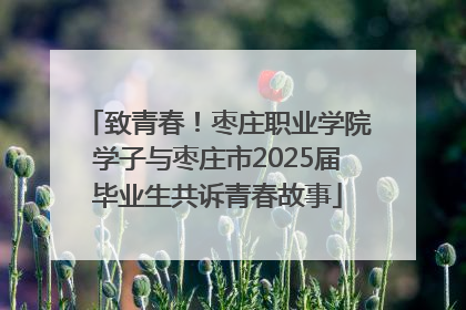 致青春！枣庄职业学院学子与枣庄市2025届毕业生共诉青春故事