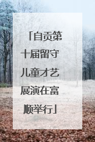 自贡第十届留守儿童才艺展演在富顺举行