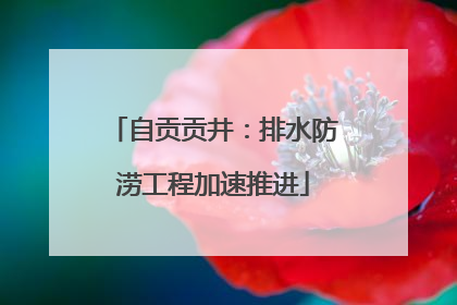 自贡贡井：排水防涝工程加速推进