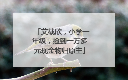 艾载欣，小学一年级，捡到一万多元现金物归原主