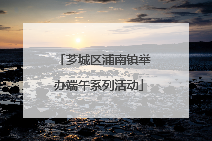 芗城区浦南镇举办端午系列活动