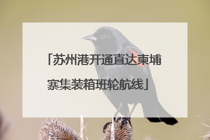 苏州港开通直达柬埔寨集装箱班轮航线