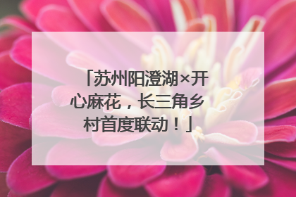 苏州阳澄湖×开心麻花，长三角乡村首度联动！