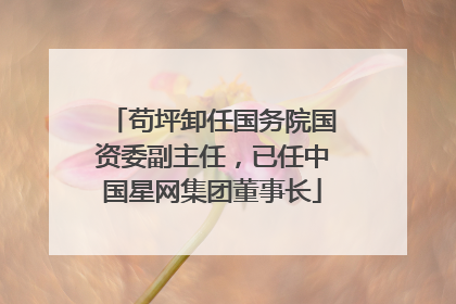 苟坪卸任国务院国资委副主任，已任中国星网集团董事长