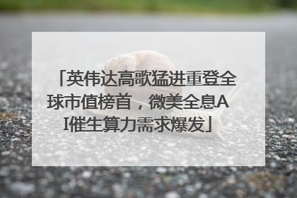 英伟达高歌猛进重登全球市值榜首，微美全息AI催生算力需求爆发