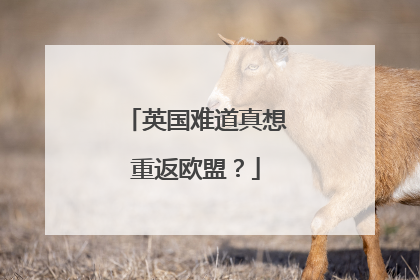 英国难道真想重返欧盟？