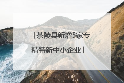 茶陵县新增5家专精特新中小企业