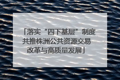 落实“四下基层”制度 共推株洲公共资源交易改革与高质量发展